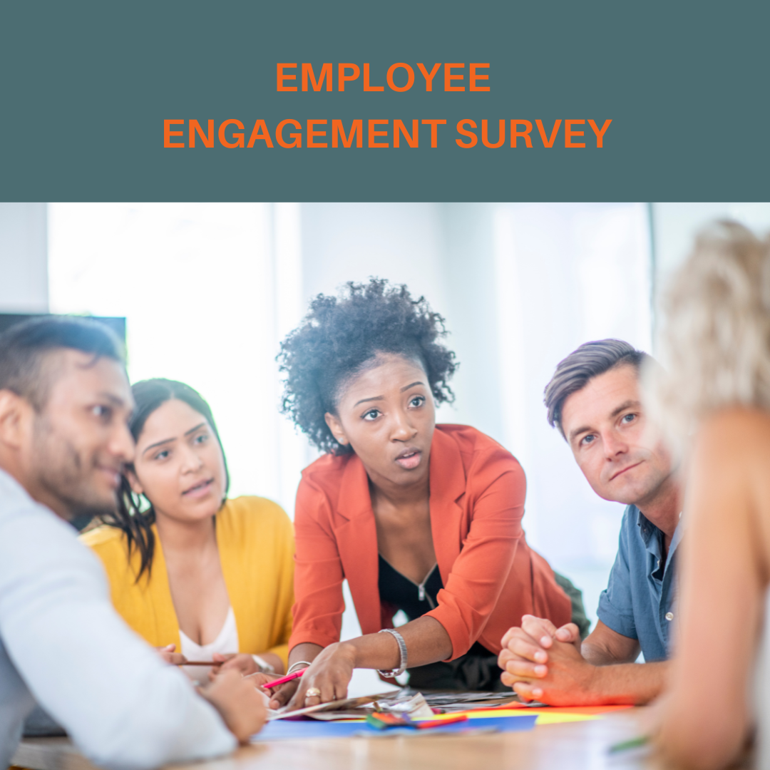 Employee Engagement Survey – Life & Limn